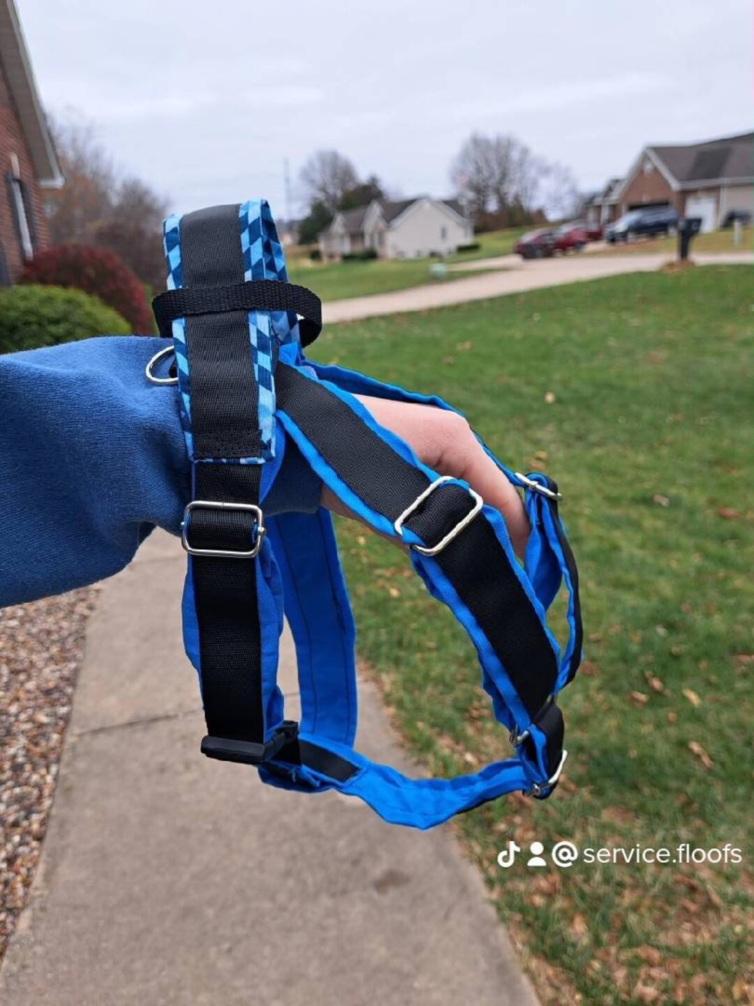Custom Dog Yfront Harness Etsy