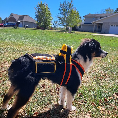 Custom Dog Cape Etsy