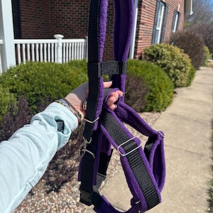May include: A purple and black dog harness with a fleece lining. The harness has adjustable straps and metal hardware. The harness is held up against a background of green bushes and a brick house.