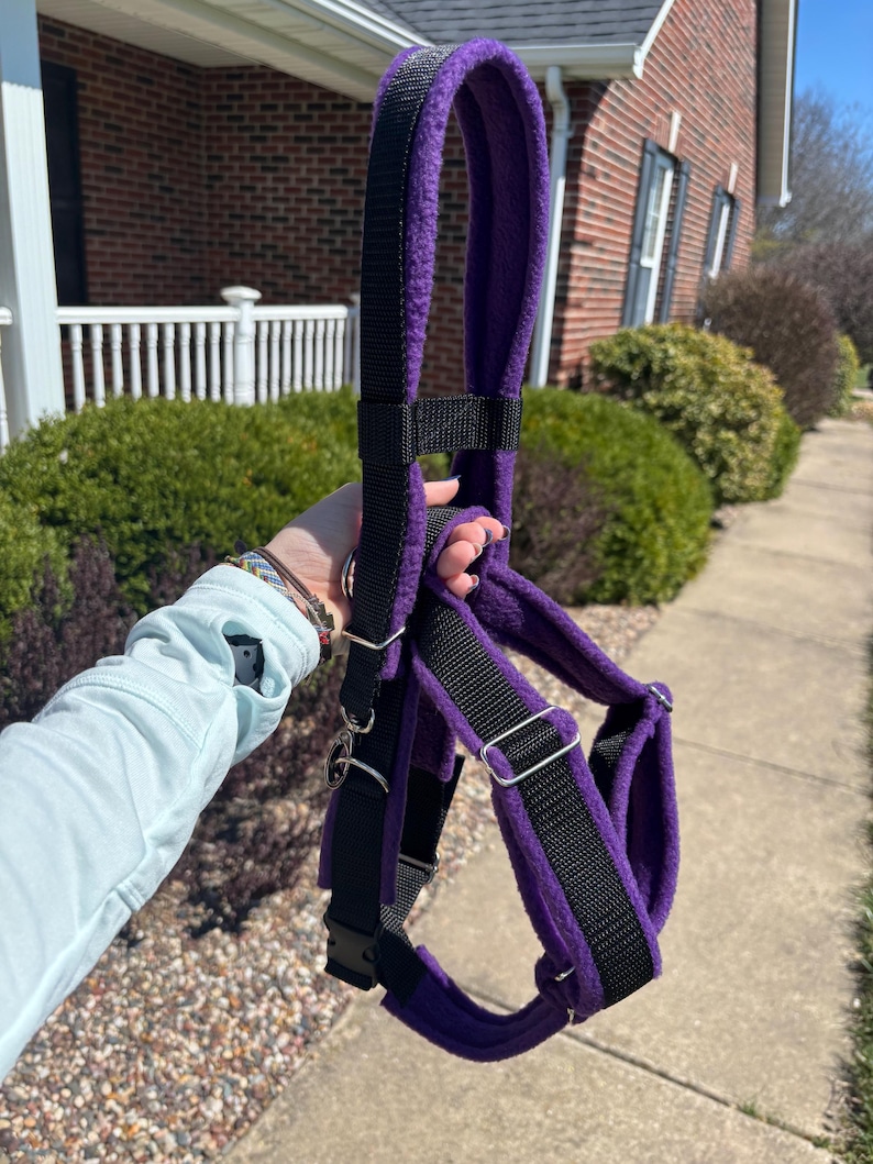 May include: A purple and black dog harness with a fleece lining. The harness has adjustable straps and metal hardware. The harness is held up against a background of green bushes and a brick house.