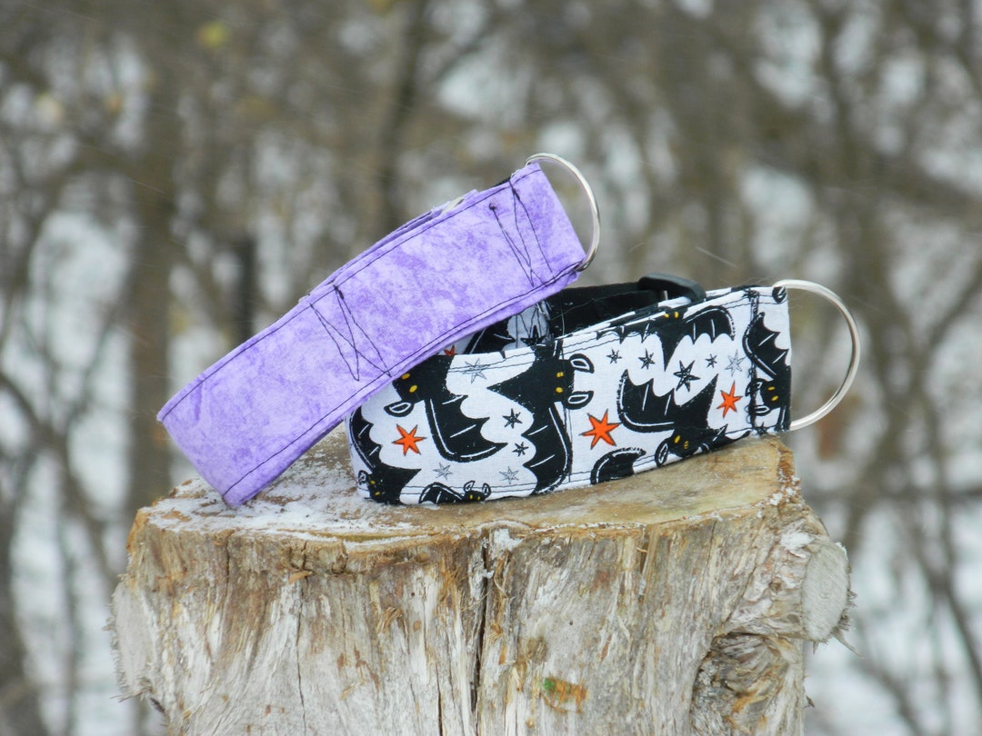 Limited Slip Dog Collar Etsy