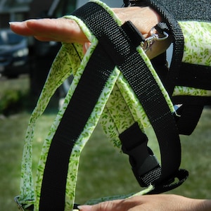 Custom Dog Y-front Harness