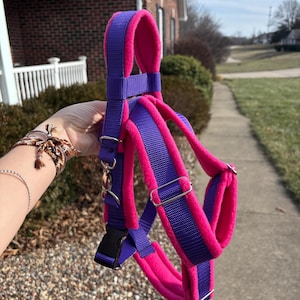 May include: A purple and pink dog harness with a black buckle and silver metal hardware. The harness has a purple nylon exterior and a pink, plush interior. The harness is held up against a background of a brick house and green grass.