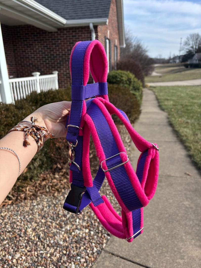 May include: A purple and pink dog harness with a black buckle and silver metal hardware. The harness has a purple nylon exterior and a pink, plush interior. The harness is held up against a background of a brick house and green grass.