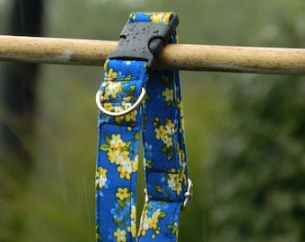 Custom Dog Collar