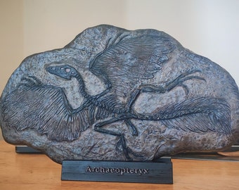 Archaeopteryx fossiele replica (met standaard)