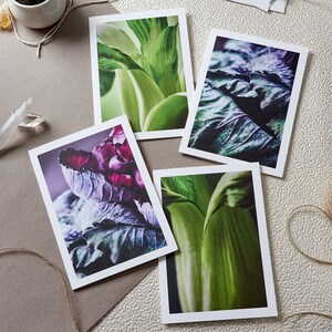 Cabbage Greeting Cards 4pk, envelopes included