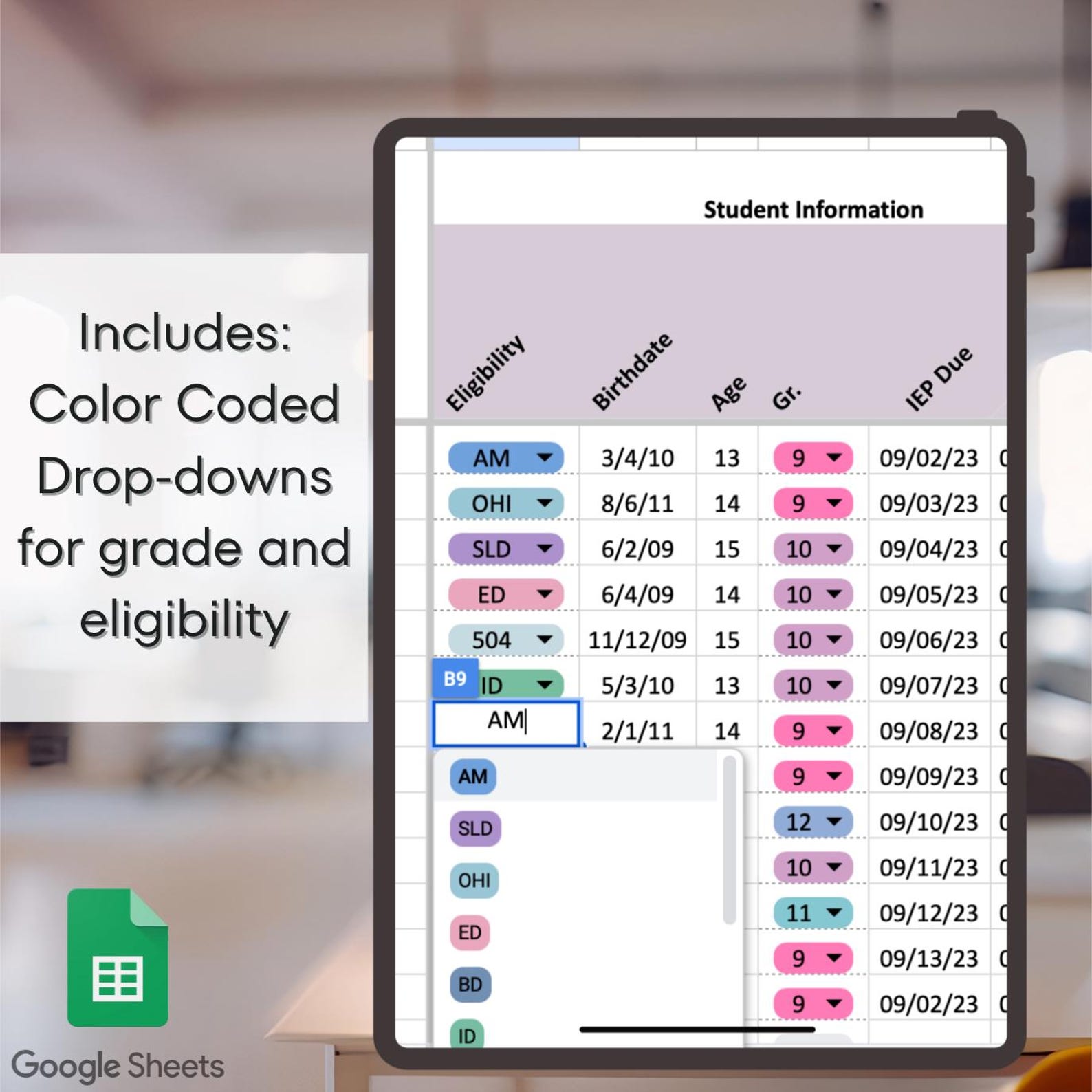 IEP Caseload Tracker Google Sheets | Special Education Meeting Planner ...