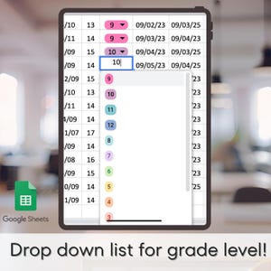 iep tracker, special education spreadsheet, teacher planner, iep meeting planner, google sheets template, iep data tracker, editable spreadsheet, progress monitoring, sped organization, teacher organization, iep progress tracker, iep template, digital teacher planner