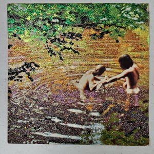 Customized Glittered Vinyl Album: Woodstock bathers