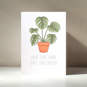 Cheesy - Tarjeta de felicitación personalizada A6 con diseño de planta de queso Monstera Deliciosa, planta de interior, planta, padre, bebé, tonto, divertido, grosero, juego de palabras, feliz cumpleaños, amor