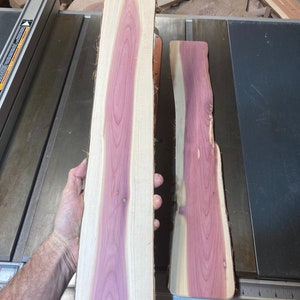 Two Plant climbing walls, eastern red cedar, live edge, approximately 4” wide, 3/8” thick, 24” long.