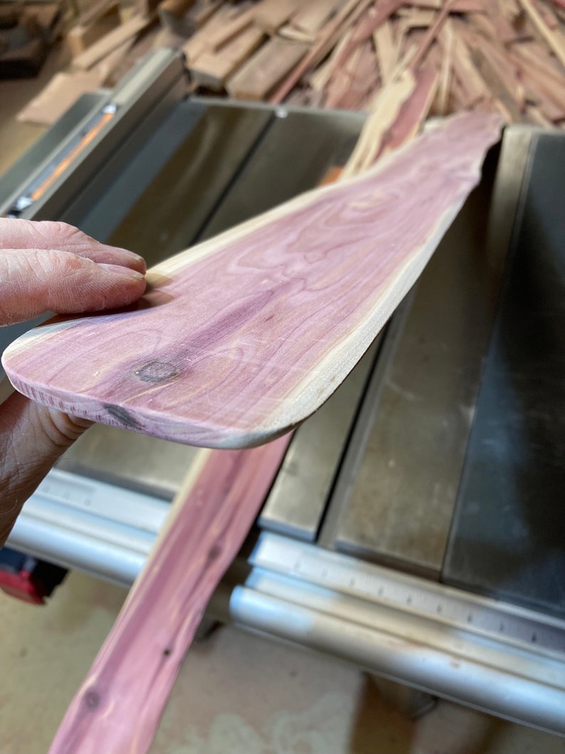May include: A piece of unfinished cedar wood with a natural edge, displaying a vibrant purple hue. The wood grain is visible, and the piece is held near a table saw, suggesting woodworking or craft projects. The wood appears to be approximately 30 inches long.