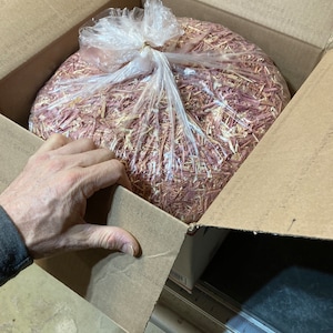 2 lbs Eastern Red Cedar shavings