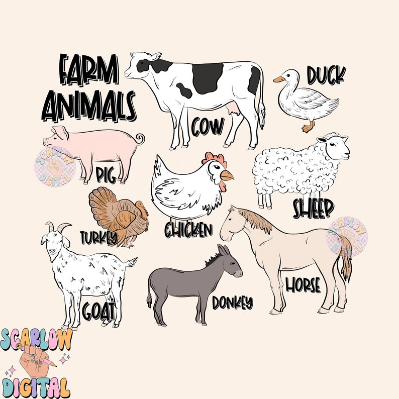 May include: A colorful illustration of farm animals, including a cow, pig, sheep, chicken, turkey, goat, donkey, horse, and duck. The text "FARM ANIMALS" is at the top of the image.