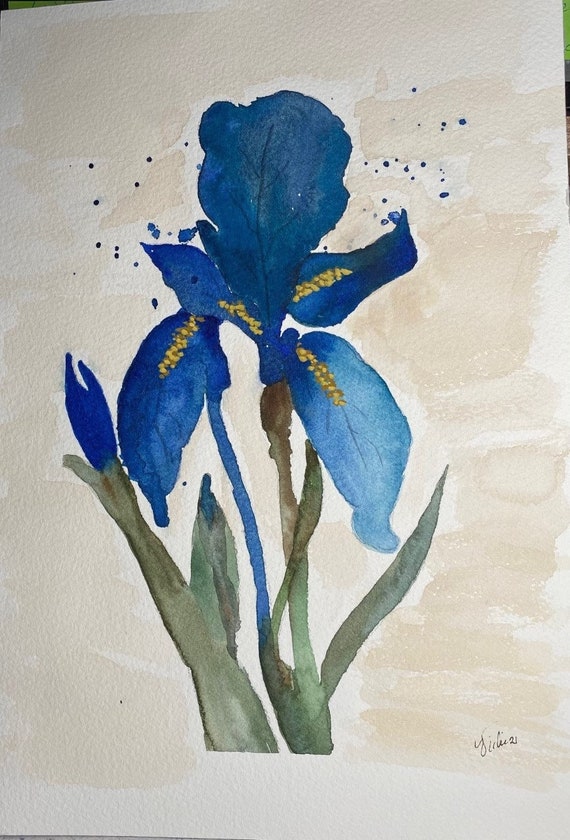 Blue Iris original watercolor