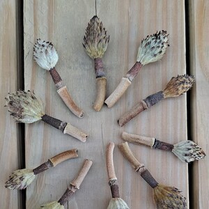 May include: A collection of dried seed heads arranged in a circular pattern on a wooden surface. The seed heads have a light brown color with textured details, and are attached to slender stems.