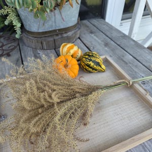 Maiden Grass Flower Bundle: Dried Arrangements, Natural Fall Decor, Weddings, Floral Supplies image 4