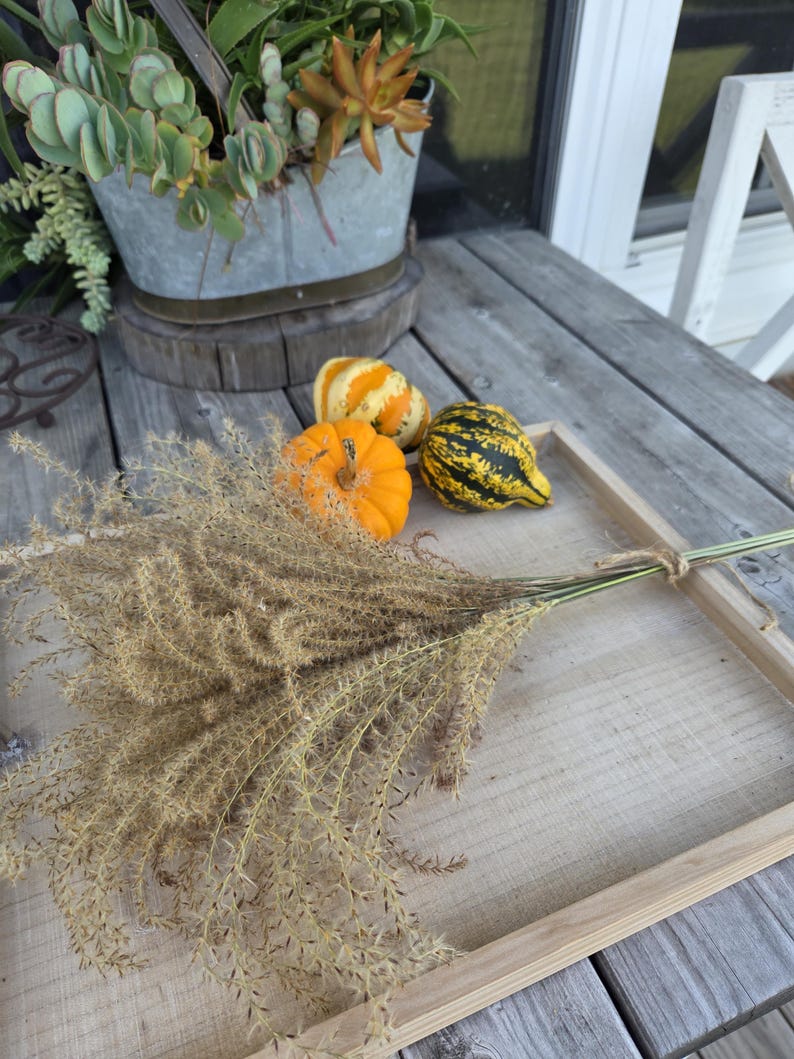 Maiden Grass Flower Bundle: Dried Arrangements, Natural Fall Decor, Weddings, Floral Supplies image 4