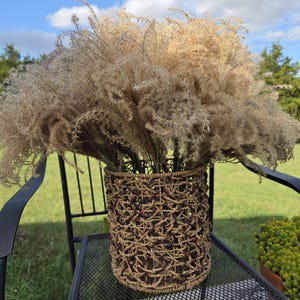 Maiden Grass Flower Bundle: Dried Arrangements, Natural Fall Decor, Weddings, Floral Supplies image 16