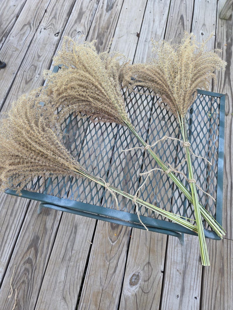 Maiden Grass Flower Bundle: Dried Arrangements, Natural Fall Decor, Weddings, Floral Supplies image 12