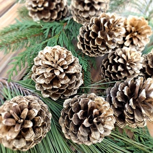 Gold Painted Pine Cones: Holiday Decor, Christmas Crafts - Set of 10