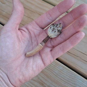 May include: A dried mushroom with a light brown stem and a textured, beige cap. The mushroom is held in a hand against a backdrop of wooden planks.