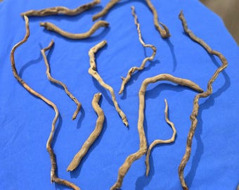 ¡Raíces de madera flotante, rizadas y retorcidas! 10 palitos curvos únicos para manualidades