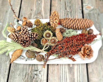 Woodland Treasures: Natural Centerpiece Mix, Bowl Filler, Assorted Dried Botanicals