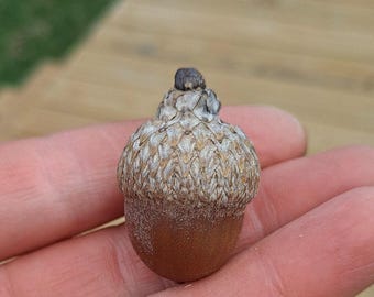 Bellotas de roble Nuttall con cúpula. 10 semillas de roble. Quercus texana. Decoración otoñal. Manualidades.