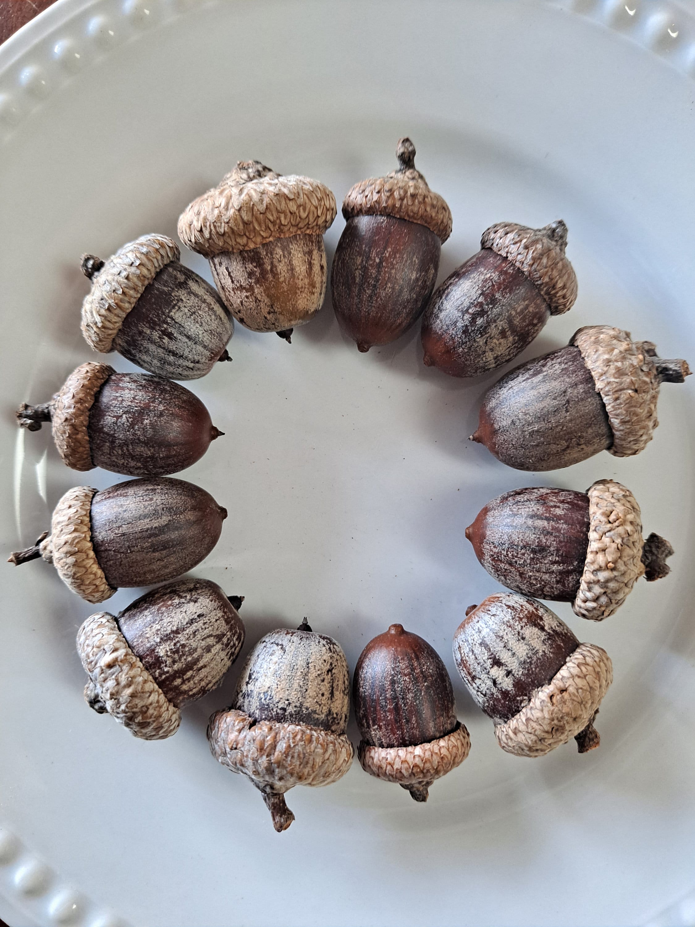 Everything You Need to Know About Acorns - Realtree Camo, image size:2250x3000