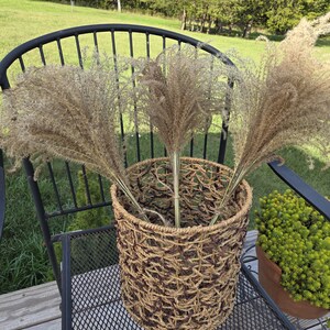 Maiden Grass Flower Bundle: Dried Arrangements, Natural Fall Decor, Weddings, Floral Supplies image 15