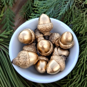 Golden Acorns! 10x Real Acorns (and caps) dressed up pretty with metallic gold paint!