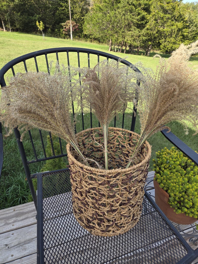 Maiden Grass Flower Bundle: Dried Arrangements, Natural Fall Decor, Weddings, Floral Supplies image 11