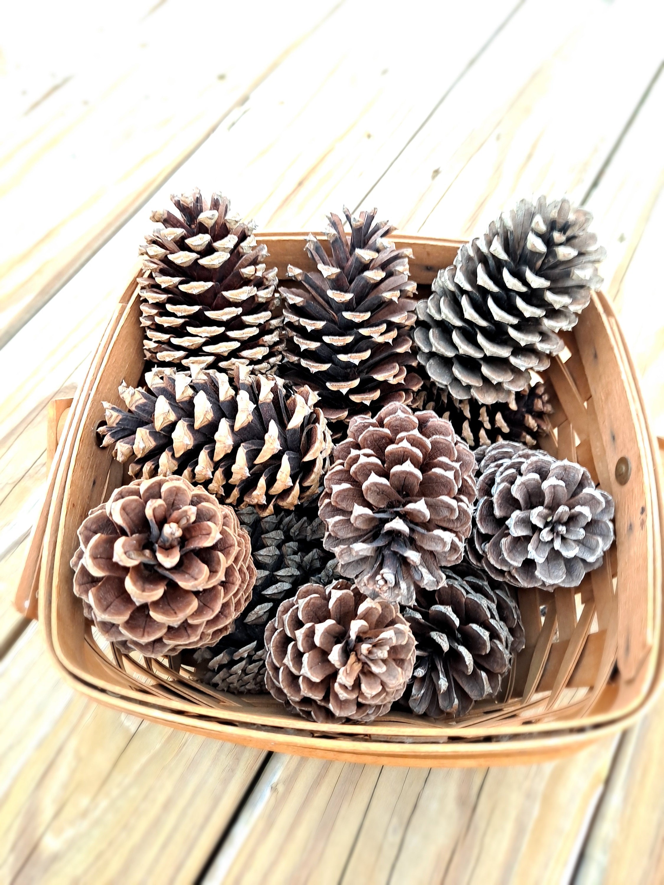Natural Pine Cones Nuts Artificial Flower Pineapple Cones Fake