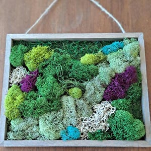 Framed Moss Wall Art: Handmade Natural Home Decor (10x8x2)