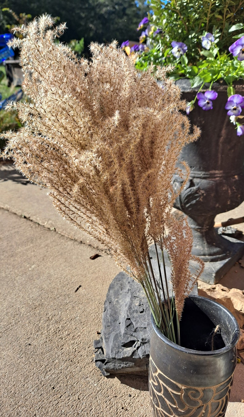 May include: A bouquet of dried pampas grass in a black ceramic vase with a decorative pattern. The vase is sitting on a concrete surface.