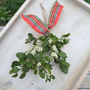 Real Mistletoe Bundles with Berries! Natural and Picked Fresh for Each Order
