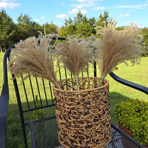 Maiden Grass Flower Bundle: Dried Arrangements, Natural Fall Decor, Weddings, Floral Supplies image 7
