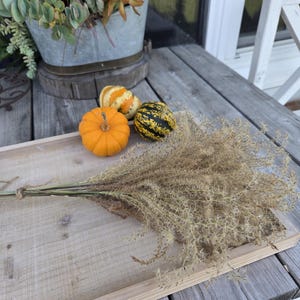 Maiden Grass Flower Bundle: Dried Arrangements, Natural Fall Decor, Weddings, Floral Supplies image 14