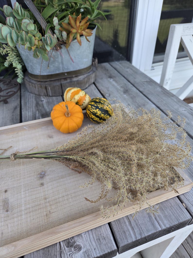 Maiden Grass Flower Bundle: Dried Arrangements, Natural Fall Decor, Weddings, Floral Supplies image 14