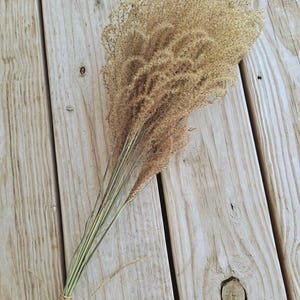 Maiden Grass Flower Bundle: Dried Arrangements, Natural Fall Decor, Weddings, Floral Supplies image 2