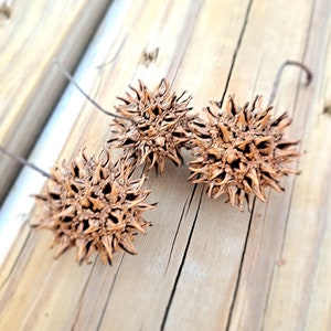 May include: Three brown spiky seed pods on a wooden surface.