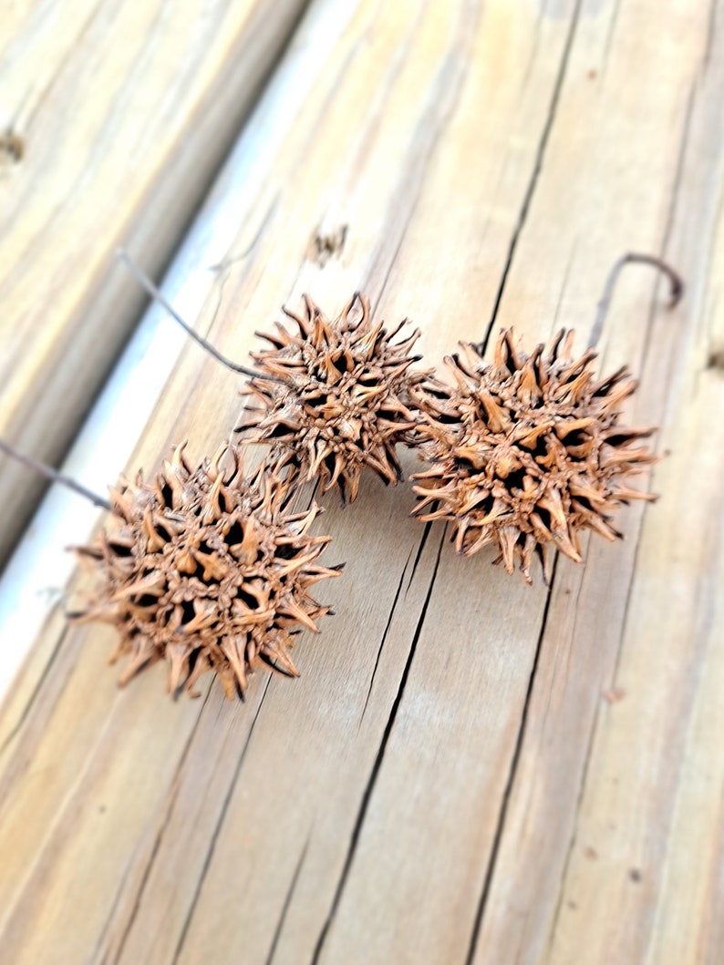May include: Three brown spiky seed pods on a wooden surface.