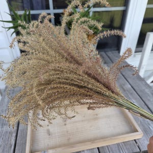 Maiden Grass Flower Bundle: Dried Arrangements, Natural Fall Decor, Weddings, Floral Supplies image 6