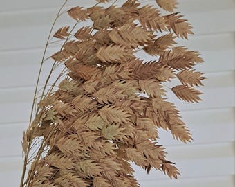 May include: A bundle of dried ornamental grass with long, slender stems and numerous small, light brown, leaf-like seed heads arranged in a dense, cascading cluster. The dried plant material features a natural tan and beige color palette.