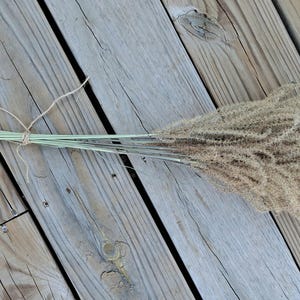 Maiden Grass Flower Bundle: Dried Arrangements, Natural Fall Decor, Weddings, Floral Supplies image 17