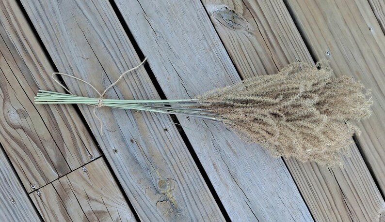 Maiden Grass Flower Bundle: Dried Arrangements, Natural Fall Decor, Weddings, Floral Supplies image 17