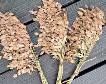 May include: Three bundles of dried ornamental grass, each featuring light brown, feathery seed heads attached to thin, green stems. Each bundle is securely tied near the base with a piece of natural brown twine, creating a uniform, rustic appearance.