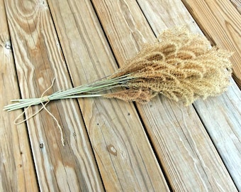 Maiden Grass Flower Bundle: Dried Arrangements, Natural Fall Decor, Weddings, Floral Supplies